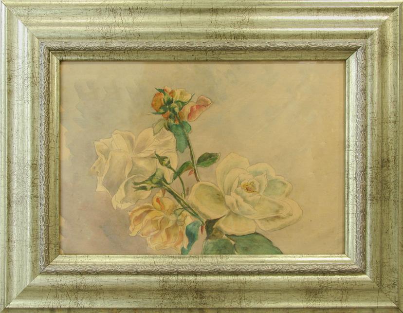 Roses, Shtarkelov